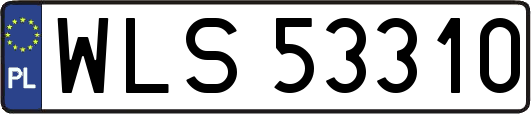 WLS53310