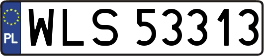 WLS53313