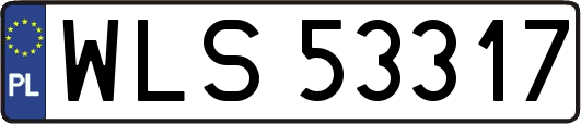 WLS53317