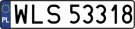 WLS53318