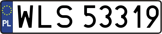 WLS53319