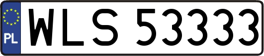 WLS53333