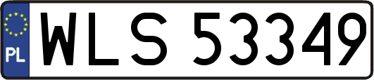 WLS53349