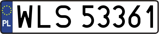 WLS53361