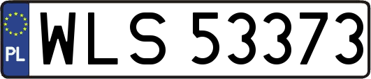 WLS53373
