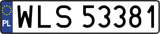WLS53381