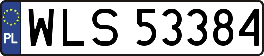 WLS53384