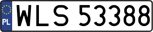 WLS53388