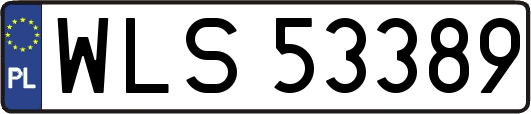 WLS53389
