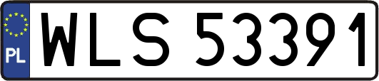 WLS53391