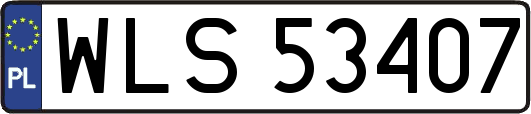 WLS53407