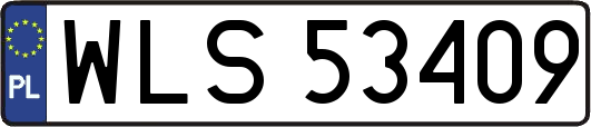 WLS53409