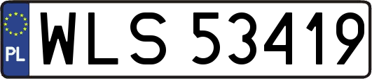 WLS53419