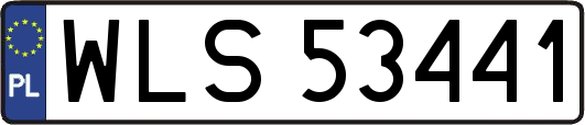 WLS53441