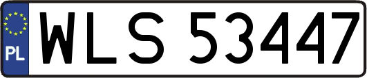 WLS53447