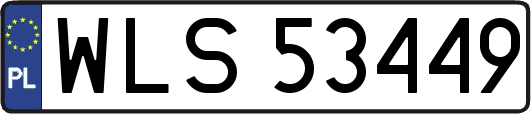 WLS53449