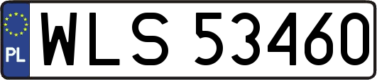 WLS53460