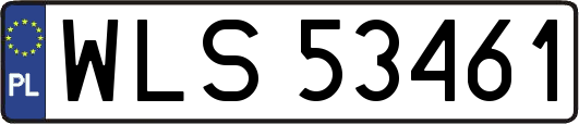 WLS53461
