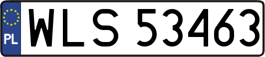 WLS53463