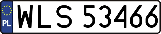 WLS53466
