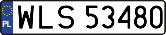 WLS53480