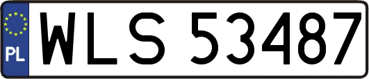 WLS53487