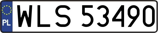 WLS53490