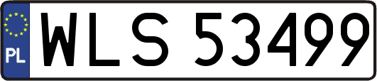 WLS53499