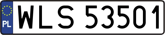 WLS53501