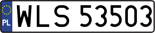 WLS53503