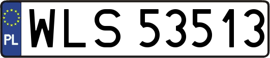 WLS53513