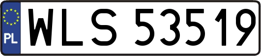 WLS53519
