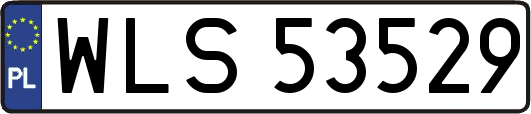 WLS53529