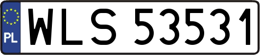 WLS53531
