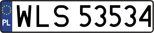 WLS53534
