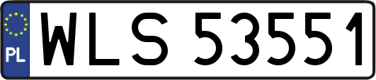 WLS53551