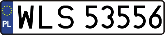 WLS53556