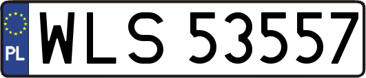 WLS53557