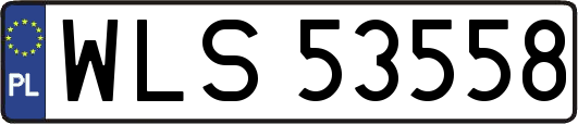 WLS53558
