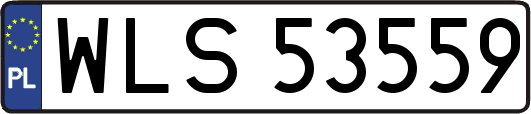 WLS53559