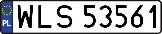 WLS53561