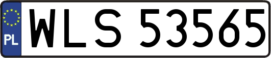 WLS53565