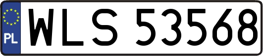 WLS53568