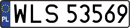 WLS53569