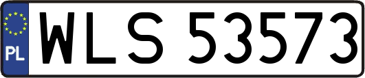 WLS53573