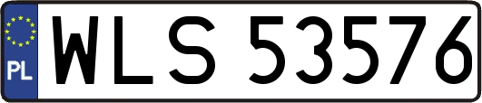 WLS53576