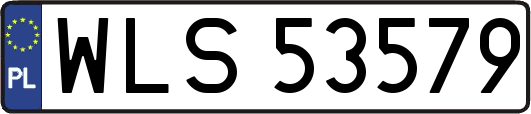 WLS53579
