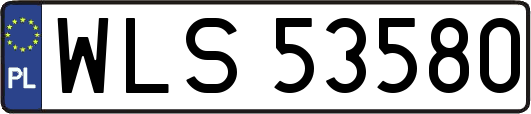 WLS53580