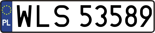 WLS53589
