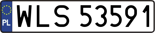 WLS53591